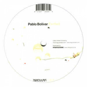 Pablo Bolivar - Simulated Physics - Vinyl - 12" 