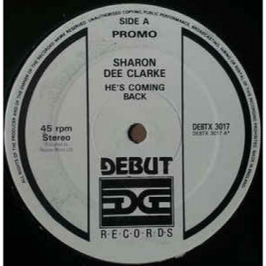 Sharon Dee Clarke - He's Coming Back - Vinyl - 12" 