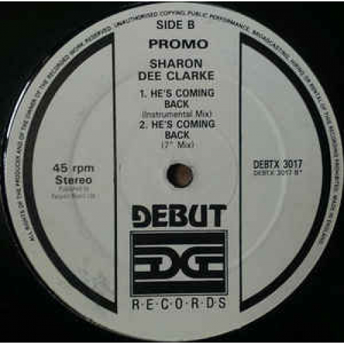 Sharon Dee Clarke - He's Coming Back - Vinyl - 12" 