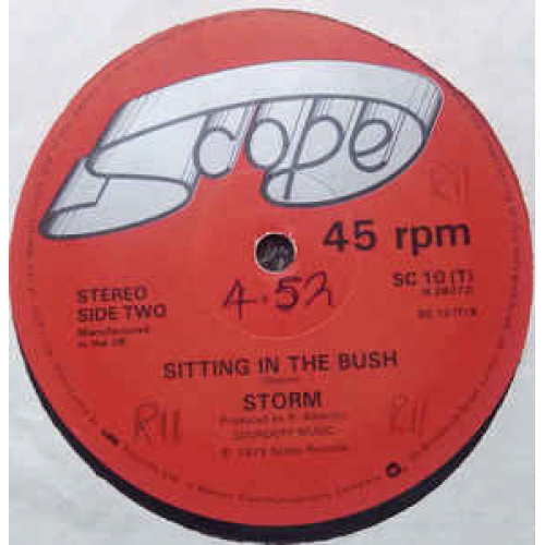 Storm - It's My House - Vinyl - 12" 