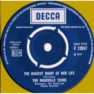 The Nashville Teens - The Biggest Night Of Her Life - Vinyl - 7"