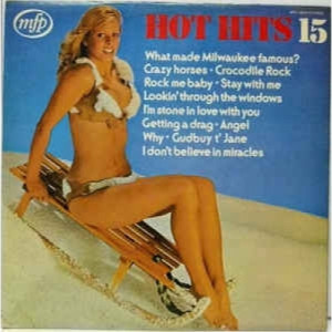 Unknown Artist - Hot Hits 15 - Vinyl - LP