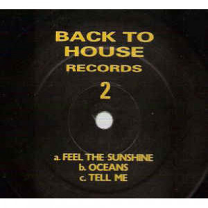Various - Feel The Sunshine - Vinyl - 12" 