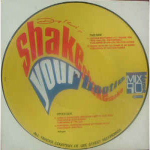 Various - Shake Shake Shake Your Bootie - Vinyl - 12" Picture Disc