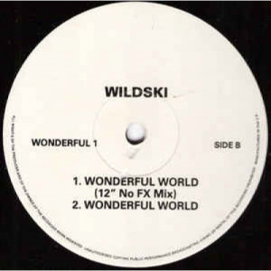 Wildski - What A Wonderful World - Vinyl - 12" 